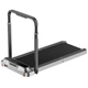 Электрическая беговая дорожка KingSmith TRR2FB Walkingpad Treadmill (TRR2FB) - изображение 1