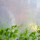 Міні теплиця ІКЕА ASPAREN 95х32х162 см (60585621) - зображення 5