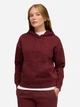 Худи теплое женское Puma Essentials Elevated 68810396 XXS Ruby Shimmer (4069157658782) - изображение 6