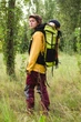 Куртка Softshell Sun lady желтый-черный XS - изображение 5