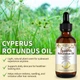 100% натуральна кипарисова олія для зменшення небажаного росту волосся Cyperus Rotundus Oil ALIVER для всіх типів шкіри, 60 ml - зображення 7