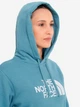 Худи теплое женское The North Face NF0A89EH1OM1 XS Голубое (197065060169) - изображение 5