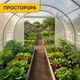 Садовая теплица парник LEOBRO Garden 12м2 White (LB-G104-WHT) - изображение 8