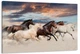 Картина на полотні Art Dekors Природа Коней 40x80 см MLP 380 - зображення 1