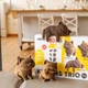 3D пазл-конструктор Cartonic 3D Puzzle Kittens Trio 254 элементов (CARTKITTENS) - изображение 4