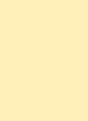 Блокнот 4Profi "Frutti note" yellow 40 листов формат В6 903153 - изображение 2