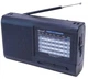Радиоприемник Golon RX-3040 со встроенным аккумулятором ( Черный) размер 205× 125×55(MX-00009661) - изображение 1