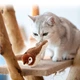 Интерактивная игрушка для кошек летающая птичка воробей для кота птица машет крыльями - изображение 8