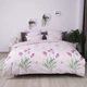 Постільна білизна ТЕП "Soft dreams" Aurora, 70x70, полуторна - изображение 2