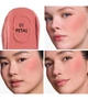 Жидкие румяна для лица Dior Forever Blush Soft Filter 01 Petal 11 мл (3348901762656) - изображение 2