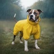 Дощовик для собак WAUDOG Clothes водонепроникний XS25 В 36-38 см С 26-28 см жовтий - изображение 4
