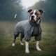 Дощовик для собак WAUDOG Clothes водонепроникний M45 В 55-60 см С 37-40 см сірий - изображение 4