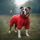 Дощовик для собак WAUDOG Clothes водонепроникний XS30 В 43-45 см С 27-30 см червоний - изображение 4