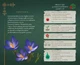 Блокнот "Щоденник мавки: Літо" (укр) Ранок (203578) - изображение 3