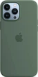 Чохол Silicone Case with MagSafe для Apple iPhone 13 Pro Max (MN6C3) Eucalyptus - зображення 4