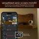 Камера Wyze Cam v4 QHD2.5K мини няня ip65 вулична всепогодна наружная white - изображение 10