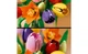 Конструктор LEGO Букет тюльпанів 576 деталей (11501) - изображение 6