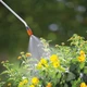 Опрыскиватель Gardena 5 л (00823-20.000.00) - изображение 2