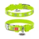 Ошейник WAUDOG Glamour с узором Звездочка Светящийся 19-25 см 12 мм Лайм (35835) - изображение 1