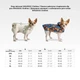 Дощовик-накидка з капюшоном для собак Waudog Clothes NASA21 XXS 23-26х30-36х15-20 см (354-0148 Col) - зображення 2
