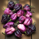 Семена Перец острый Pimenta Lisa, Capsicum chinense 5 шт/уп - изображение 5