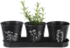 Горщики на підставці Orion 11 см (310628) - зображення 1