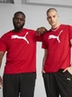 Футболка хлопковая длинная мужская Puma Essentials Foundation 68253611 L For All Time Red с принтом (4067983301933) - изображение 1