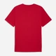 Футболка хлопковая длинная мужская Puma Graphics 69177311 L For All Time Red (4069161743740) - изображение 6