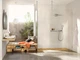Лійка ручного душу HANSGROHE RAINDANCE, бронза сатин - зображення 2