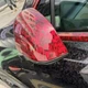 Защитная виниловая пленка для авто мотоцикла ширина 10 см длина 150 см Flower Carbon Red - изображение 3