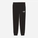 Спортивные штаны мужские Puma Essentials Graphics 69202501 S Black (4069161914713) - изображение 4