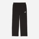 Спортивные штаны мужские Puma Essentials Foundation 69219301 M Black (4069161980299) - изображение 4