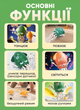Інтерактивна Іграшка Танцюючий Кальмар Squid Toys | Музична, Світиться, Повторює Фрази, На Акумуляторі, Рожевий DT-505 - зображення 2
