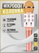 Микрофон-караоке беспроводной bluetooth WSTER WS-1688 Rose/Розовый - изображение 1