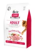 Сухой корм для кошек Brit Care Cat GF Adult Activity Support 400 г (Для активных кошек) - изображение 1