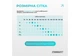 Пояс (бандаж) для спины EasyFit EF-0090-XL с 4 ребрами жесткости, для поясницы XL (105-125 cм) - изображение 7