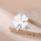 Значок из стали BROCHE брошь бижутерия Растения Клевер серебристый BRGV114928 - изображение 3