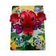 Игровой набор Zoobles 5 в 1 Spring to Life, 3 домика Happitat и сумочка (0133-5-1) - изображение 12