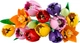 Конструктор Lego Botanicals Букет тюльпанов 11501 - изображение 3