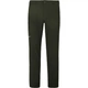Треккинговые брюки мужские Salewa Dolomia Pants Mns 5280 L (100005242) - изображение 1