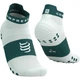 Носки для бега марафона на длинную дистанцию Compressport Pro Racing Socks V4.0 Run Low Sugar/storm M (100081078) - изображение 1