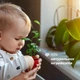 Деликатный гель для купания Chicco Baby Moments Без слез с экстрактом хлопка и глицерином 500 мл (10583.00) (8058664138364) - изображение 3