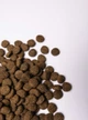 Сухий корм Savory Junior Large Breed rich in Fresh Turkey and Chicken для цуценят та юніорів (молодих собак) великих порід зі свіжою індичкою та куркою 12 кг - зображення 2