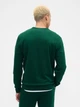Спортивный костюм мужской утепленный GAP 748450614 L Зеленый (1159851468) - изображение 5