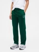 Спортивный костюм мужской утепленный GAP 748450614 L Зеленый (1159851468) - изображение 6