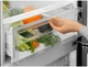 Двухкамерный холодильник Electrolux LNT5ME36U1 - изображение 6