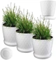 Горщик для квітів Kadax Amily з підставкою 25 см Білий 3 шт. - зображення 1
