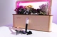 Умный набор для выращивания растений «Ecobloom», травы-приправы - изображение 11