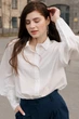 Жіноча однотонна сорочка з манжетою LadyLike 42 Молочний (ll2184010001368) - изображение 1