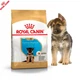 Сухий корм Royal Canin German Shepherd Puppy для цуценят породи німецька вівчарка до 15 місяців, 3 кг (251903019) - зображення 7